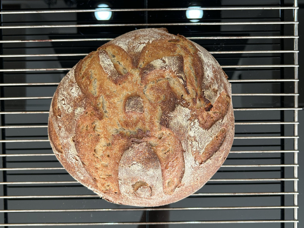 Bier Brot RS von xocharlie96 | Hochgeladen von: xocharlie96 Bier Brot RS von xocharlie96 | Hochgeladen von: xocharlie96