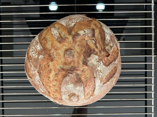 Bier Brot RS von xocharlie96 | Hochgeladen von: xocharlie96 Bier Brot RS von xocharlie96 | Hochgeladen von: xocharlie96
