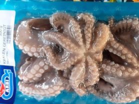 Pulpo, Oktopus, Krake, frisch | Hochgeladen von: Bauigel