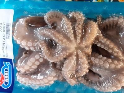 Pulpo, Oktopus, Krake, frisch | Hochgeladen von: Bauigel