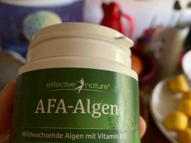 AFA Algen, Algen  von marvegan22300 | Hochgeladen von: marvegan22300