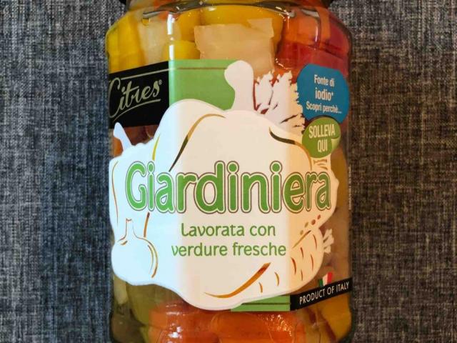 Giardiniera, lavorata con verdure fresche von wwdi | Hochgeladen von: wwdi