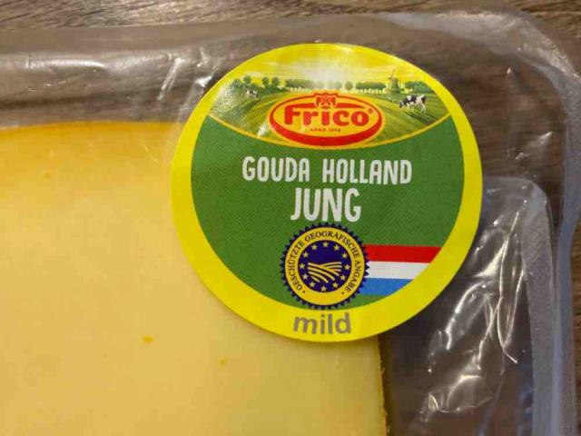 Gouda Käse von Maisus | Hochgeladen von: Maisus