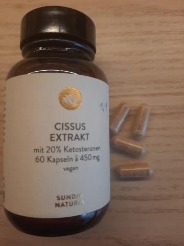 Cissus Extrakt, pro Kapsel 90 mg Ketosterone von aannaalleennaa | Hochgeladen von: aannaalleennaa