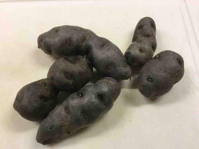 Vitelotte, lila Kartoffeln, blaue Kartoffeln  von inquisitor77 | Uploaded by: inquisitor77
