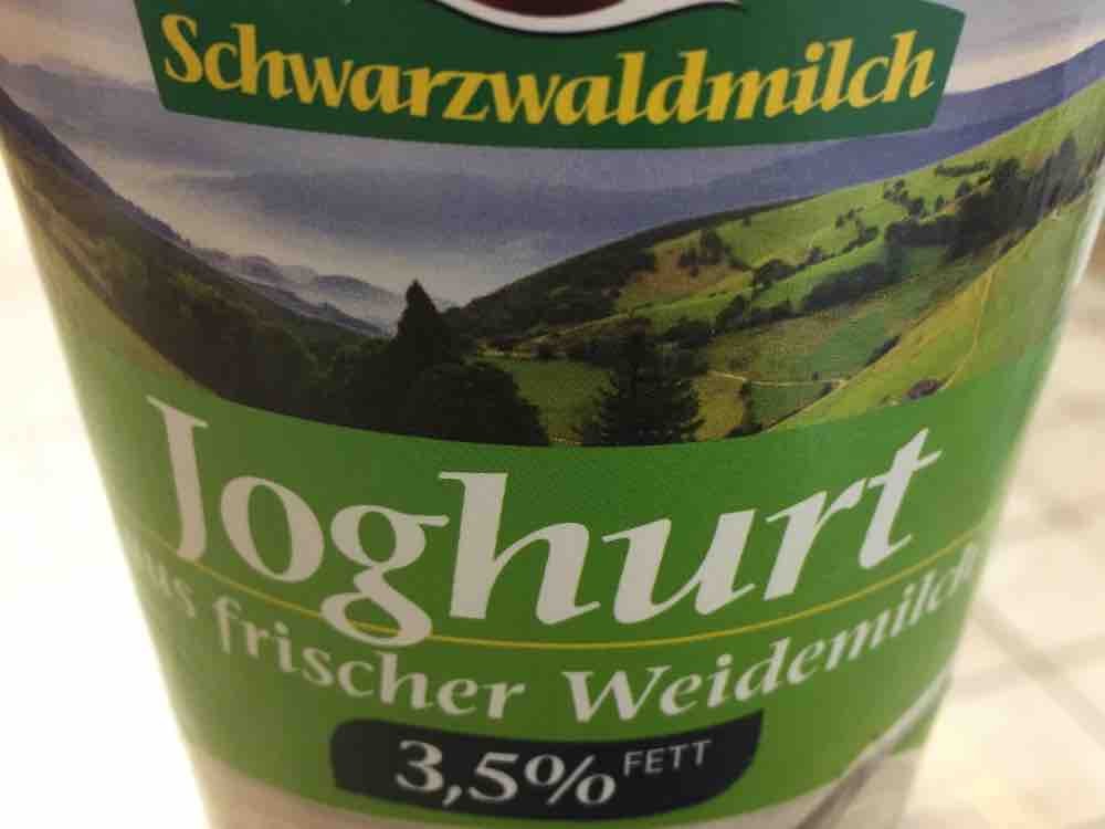 Joghurt 3,5% aus frischer Weidemilch von malibumaus | Hochgeladen von: malibumaus
