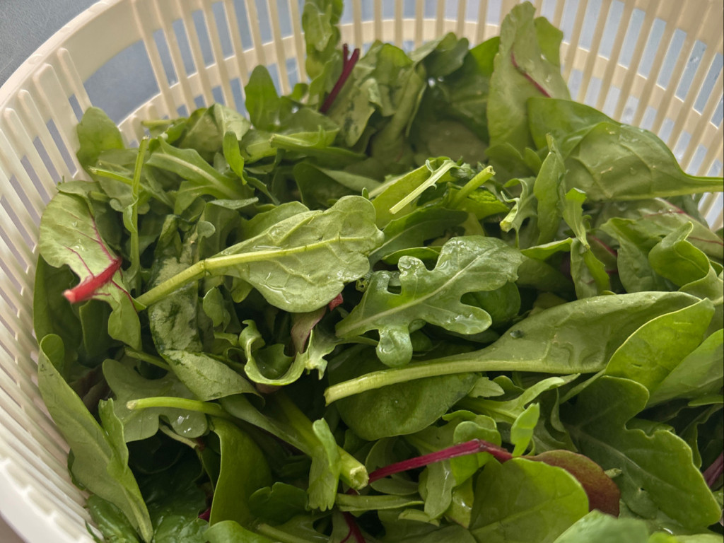 Gemischter Salat, ohne Dressing und ohne Mais von gioele | Hochgeladen von: gioele Gemischter Salat, ohne Dressing und ohne Mais von gioele | Hochgeladen von: gioele