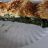 Spinatstrudel mit Feta von Sambarga | Hochgeladen von: Sambarga