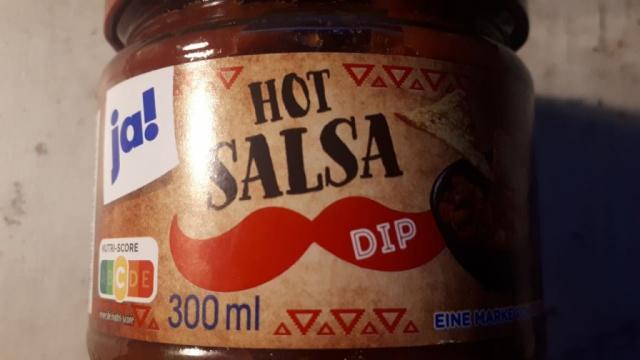 Hot Salsa Dip | Hochgeladen von: lgnt