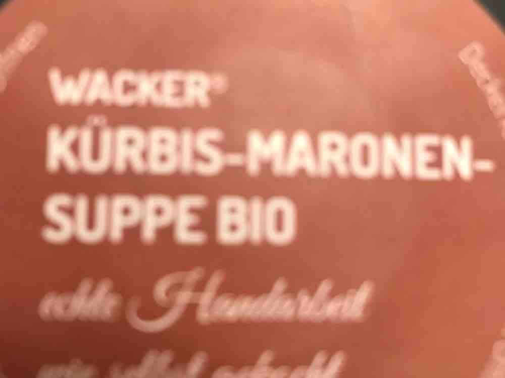 Kürbis-Marinen-Suppe Bio von barbara183 | Hochgeladen von: barbara183