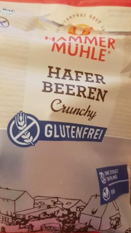 Hafer Beeren Crunchy, ohne Gluten von desireegauer278 | Hochgeladen von: desireegauer278