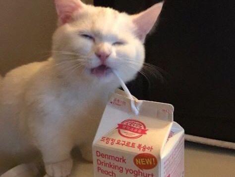 Hochgeladen von: chariee