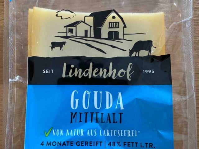 Lindenhof Gouda mittelalt von Anlevo | Hochgeladen von: Anlevo