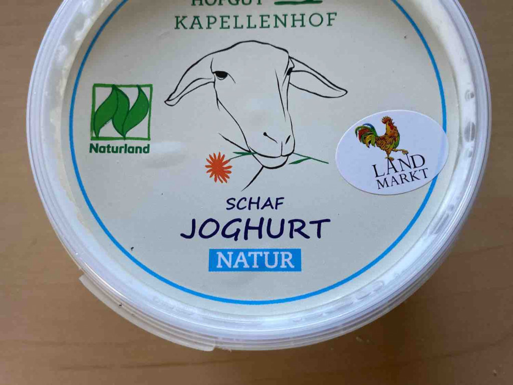 Schafjoghurt Natur von Jason163 | Hochgeladen von: Jason163