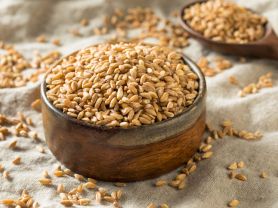 Hochgeladen von: j.zels