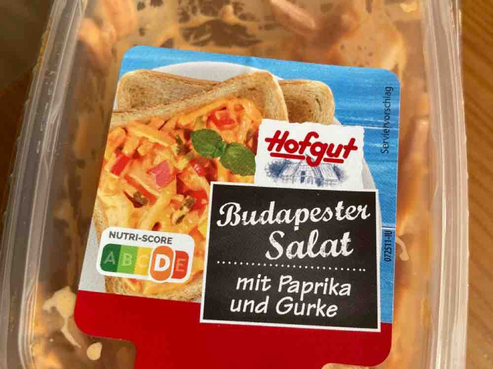 Budapester Salat mit Paprika und Salat von StephanKl | Hochgeladen von: StephanKl