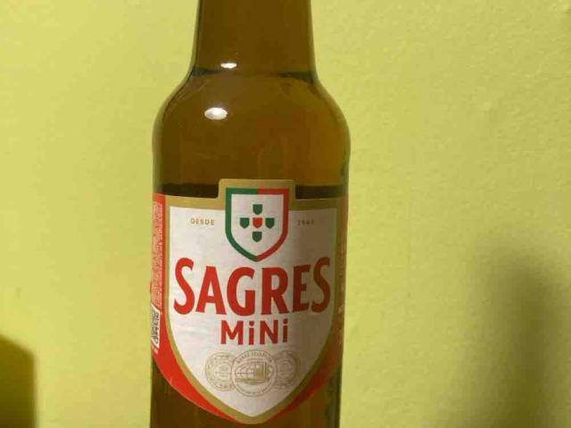 Sagres, Bier von lissaria | Hochgeladen von: lissaria