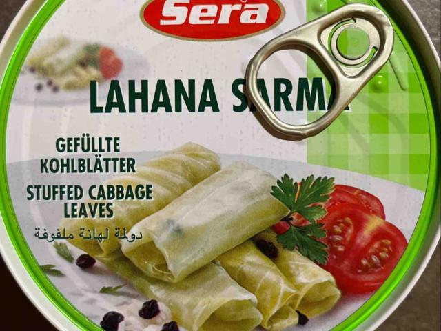 Lahana Sarma von salesjak | Hochgeladen von: salesjak