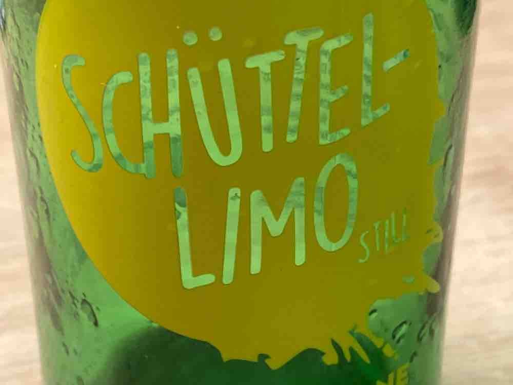IngwerSchüttel-Limo, Ingwer-Zitrone von FlinkeBine | Hochgeladen von: FlinkeBine