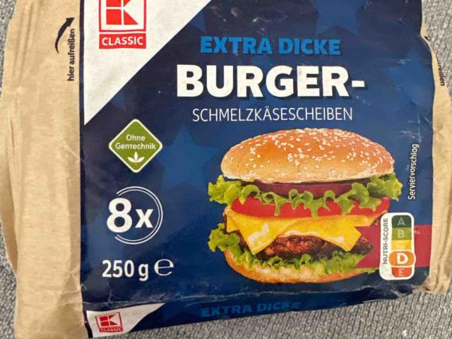 Burger Schmelzkäsescheiben von michicasteignau | Hochgeladen von: michicasteignau