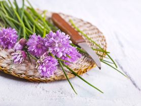 Hochgeladen von: swainn