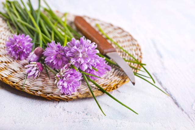 Hochgeladen von: swainn