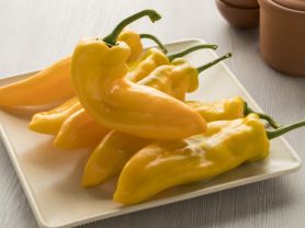 Hochgeladen von: j.zels