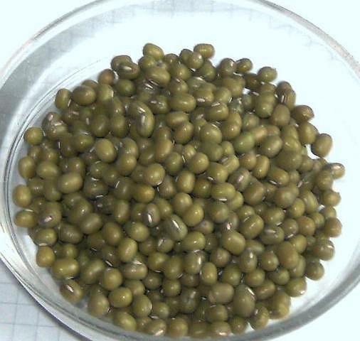 Hochgeladen von: Meleana