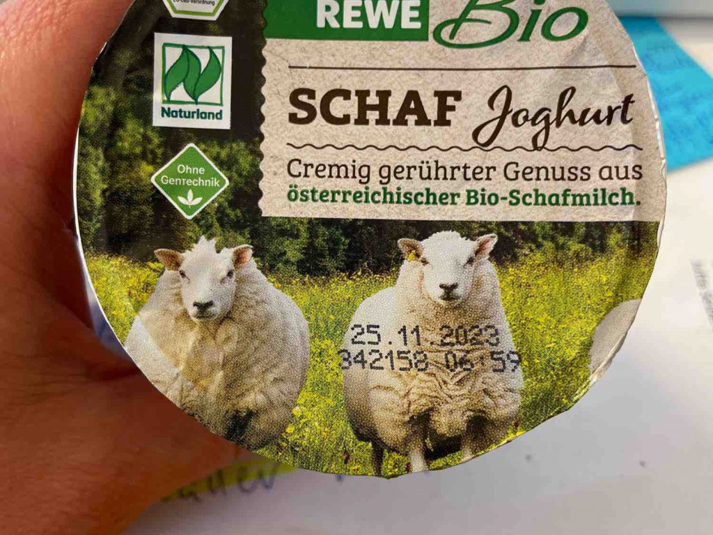 Schaf Joghurt , Bio  von gkah9 | Hochgeladen von: gkah9