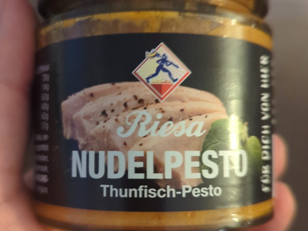 Riesa Nudelpesto Thunfisch von megr0 | Hochgeladen von: megr0 Riesa Nudelpesto Thunfisch von megr0 | Hochgeladen von: megr0