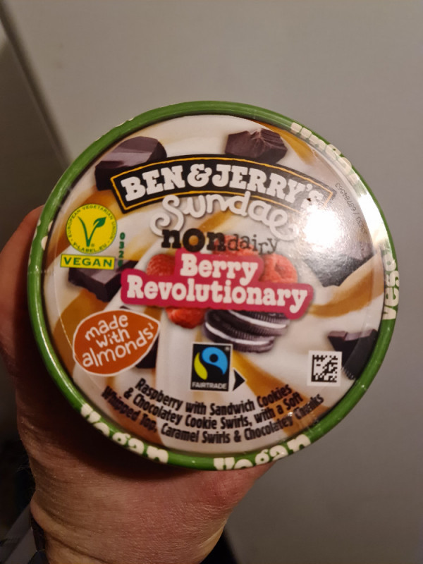 Ben & Jerrys - Berry Revolutionary (Non Dairy) von lukassch | Hochgeladen von: lukasschreibersv382