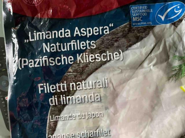 Limanda Aspera Eismann von kayti | Hochgeladen von: kayti