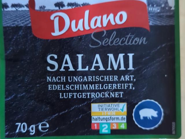 Salami nach ungarischer Art, Edelschimmelsalami Luftgetrocknet v | Hochgeladen von: Jakow