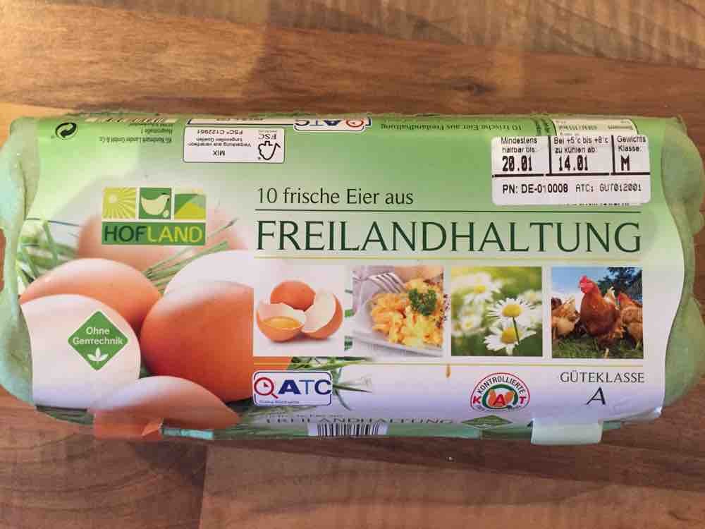 10 frische Eier aus Freilandhaltung von talsa | Hochgeladen von: talsa