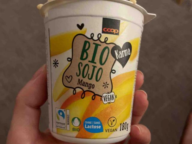 Bio Sojo Mango von cristinadi | Hochgeladen von: cristinadi