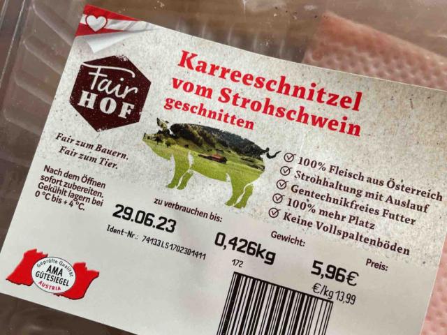 Karreeschnitzel vom Strohschwein, geschnitten (Fairhof) von milo | Hochgeladen von: milo2602