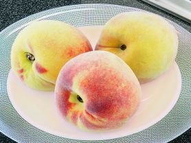 Weißer Pfirsich, frisch | Hochgeladen von: swainn Weißer Pfirsich, frisch | Hochgeladen von: swainn