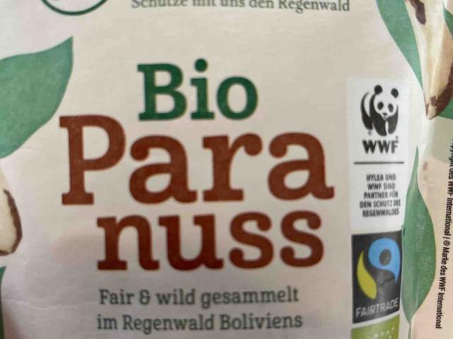 Paranuss Bio, fair und wild gesammelt im Regenwald Boliviens von | Hochgeladen von: SandraBeeck