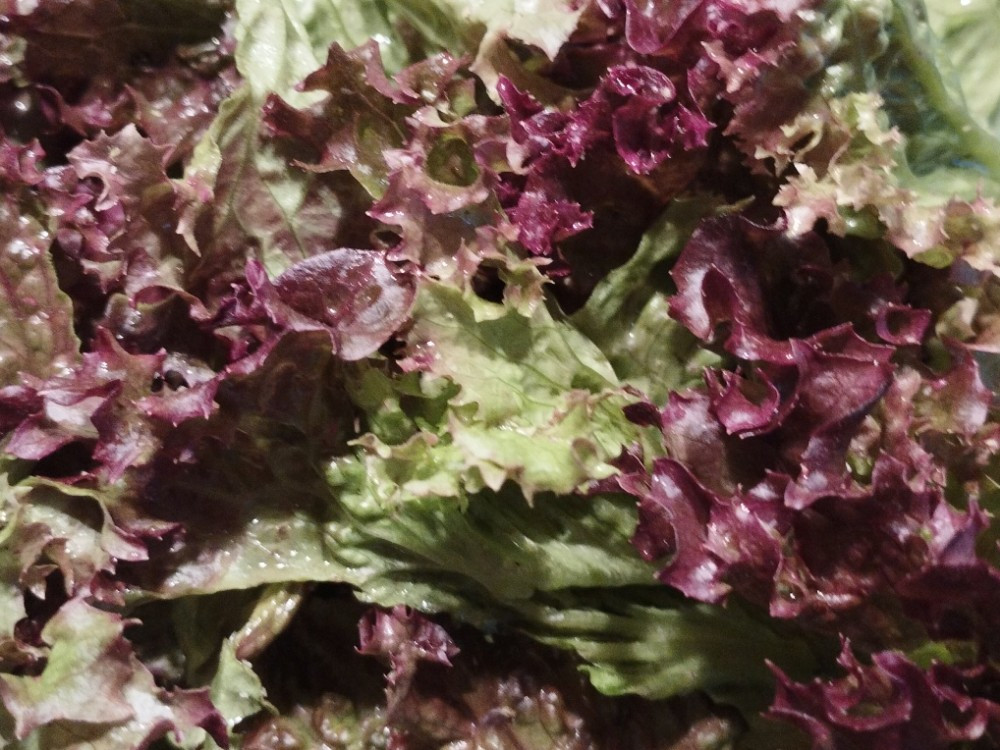 Hochgeladen von: Susanne Thiemann-Gloger