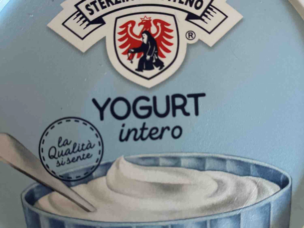 yoghurt von leonmussner | Hochgeladen von: leonmussner