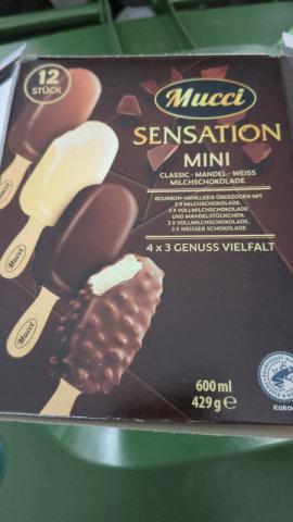 Mini Eis Zartbitter (1 Stk=35 g) von fsoentgerath670 | Hochgeladen von: fsoentgerath670