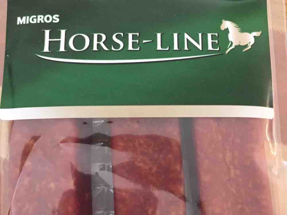 Horse-line, Pferdelandjäger von KatrinHaab | Hochgeladen von: KatrinHaab