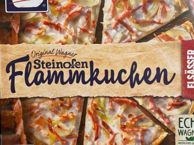 Steinofen Flammkuchen (Elsässer Art) von Jbischof | Hochgeladen von: Jbischof