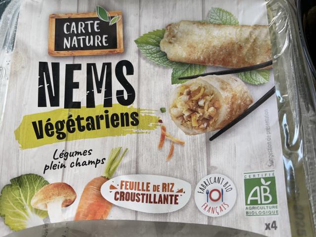 Nems Vegetariens von Leoblanche | Uploaded by: Leoblanche