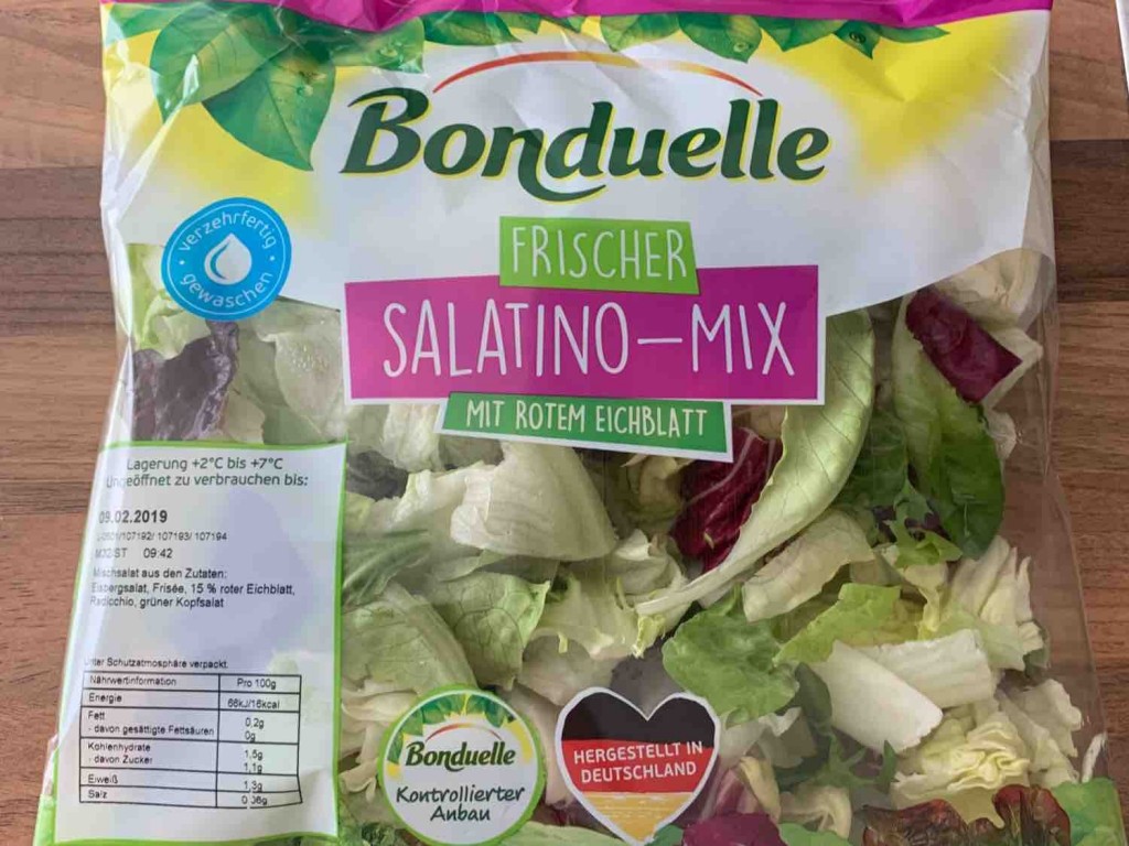 Frischer Salatino-Mix (Mit Rotem Eichenblatt) von legie | Hochgeladen von: legie