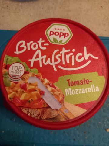 BROT AUFSTRICH, Tomate-Mozzarella von Snoopy 236 | Hochgeladen von: Snoopy 236