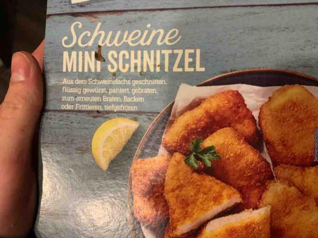 Mini Schweine Schnitzel von paul56 | Hochgeladen von: paul56