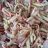 Wurst-Käse-Salat, Low Carb Benni von testnick2707 | Hochgeladen von: testnick2707