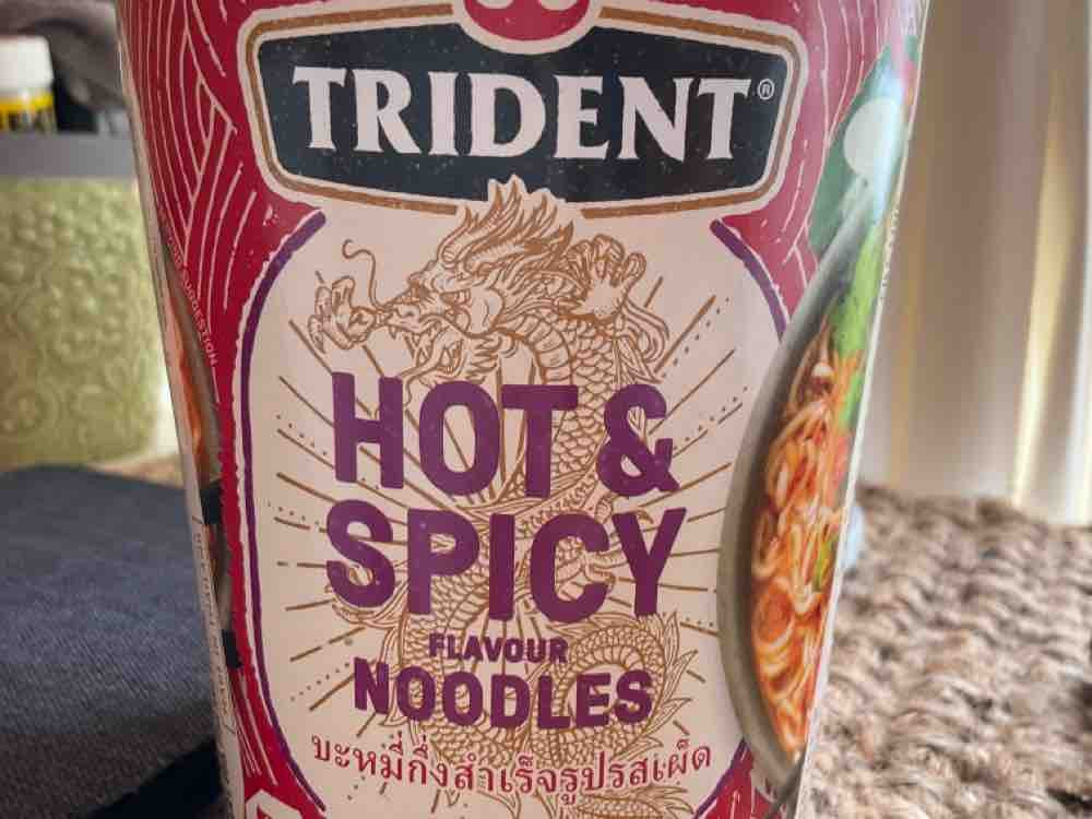 Hot and Spicy Noodles von ZiaWie | Hochgeladen von: ZiaWie