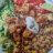 Mexikanische Fisch-Bowl, mit buntem Quinoa von ibinsnet598 | Hochgeladen von: ibinsnet598
